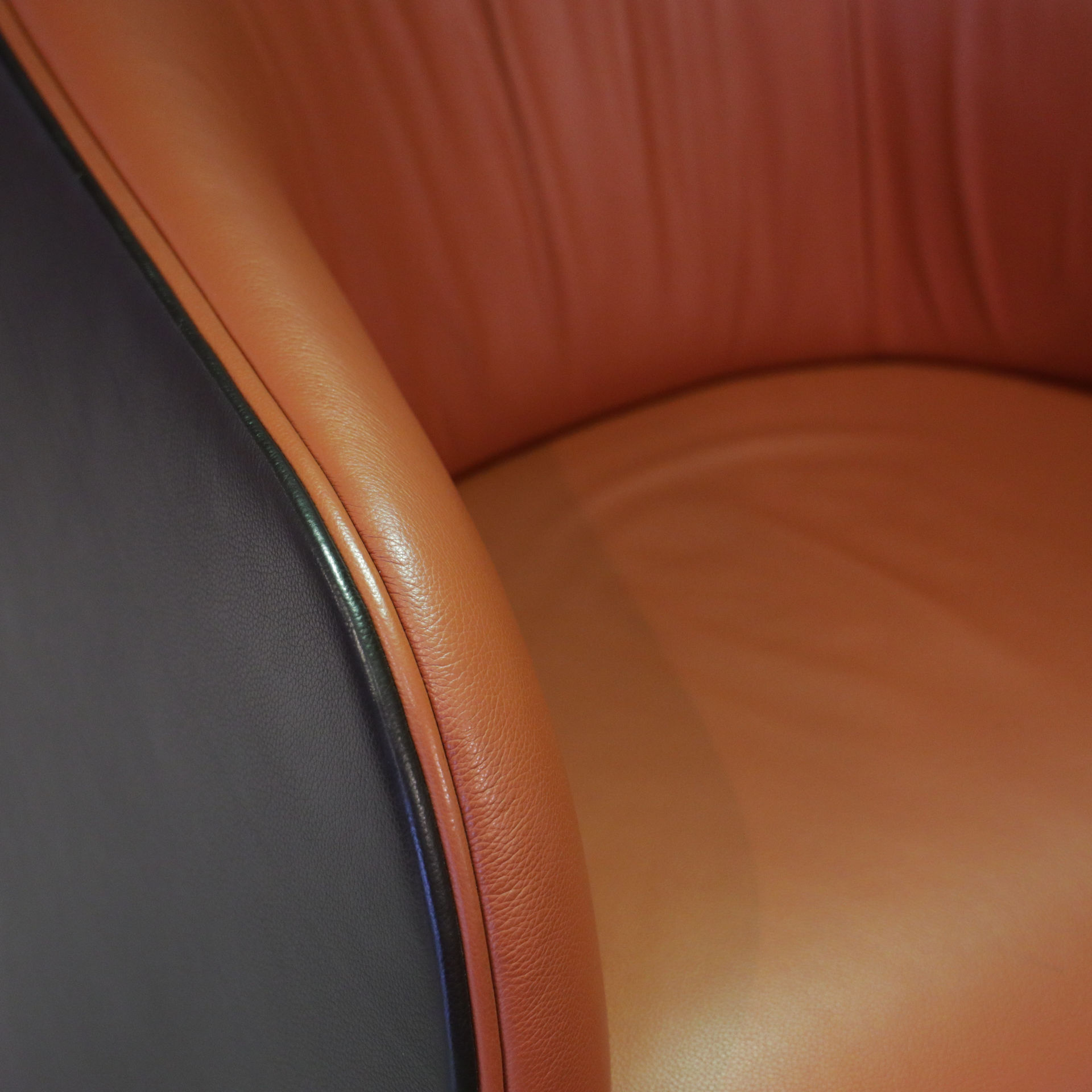 de Sede DS-900 fauteuil - Details