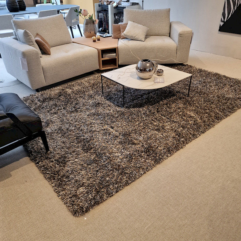 Brinker Carpets Paulo vloerkleed - 200x300